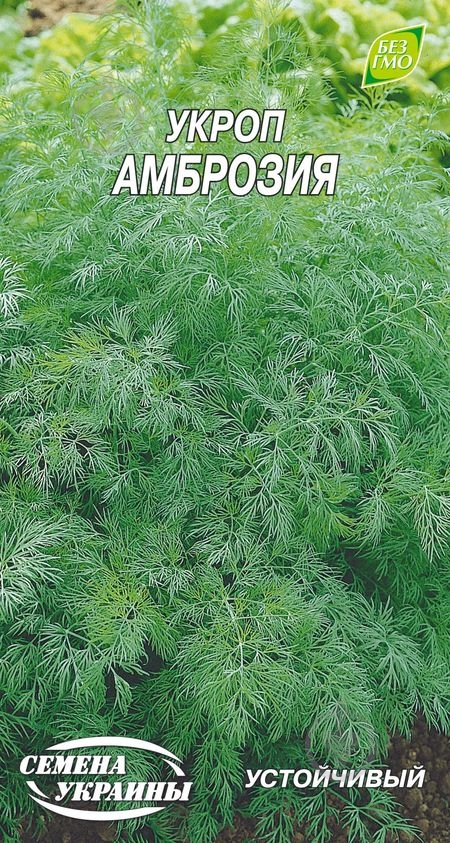 Семена Насіння України укроп Амброзія 3 г - фото 1 Семена Насіння України укроп Амброзія 3 г - фото 1