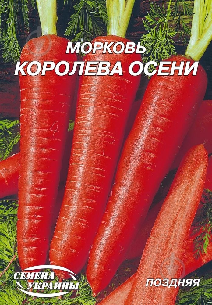 Семена морковь Королева осени 20 г Насіння України - фото 1