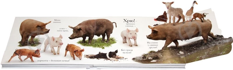 Книга Мэтью Ван Флит «Хрю» 978-5-389-06435-5 - фото 3 Книга Мэтью Ван Флит «Хрю» 978-5-389-06435-5 - фото 3