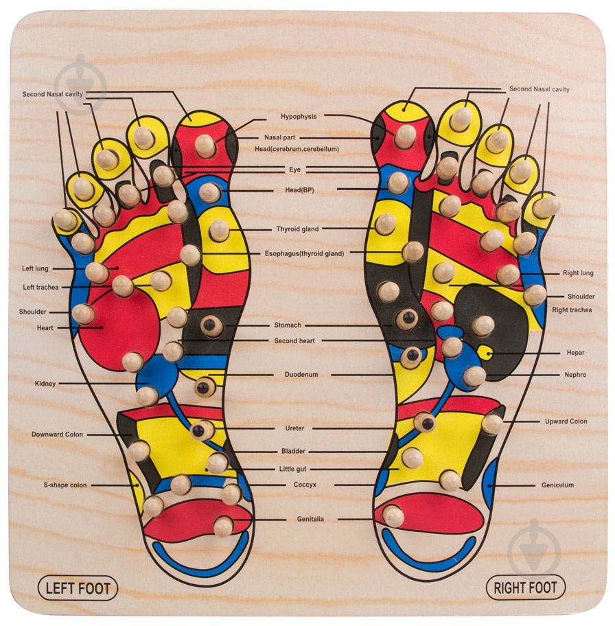 Доска массажная inSPORTline Ashiqua (16912) - фото 1 Доска массажная inSPORTline Ashiqua (16912) - фото 1