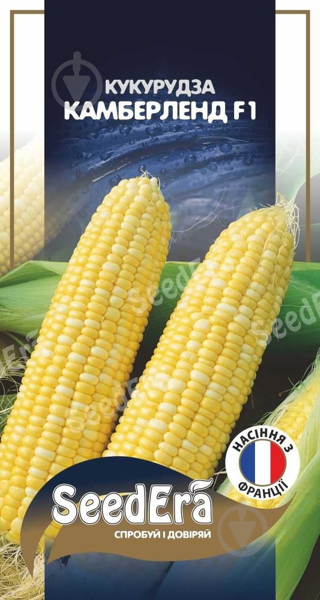 Насіння SeedEra кукурудза Камберленд F1 20 шт. (4823114403002) - фото 1