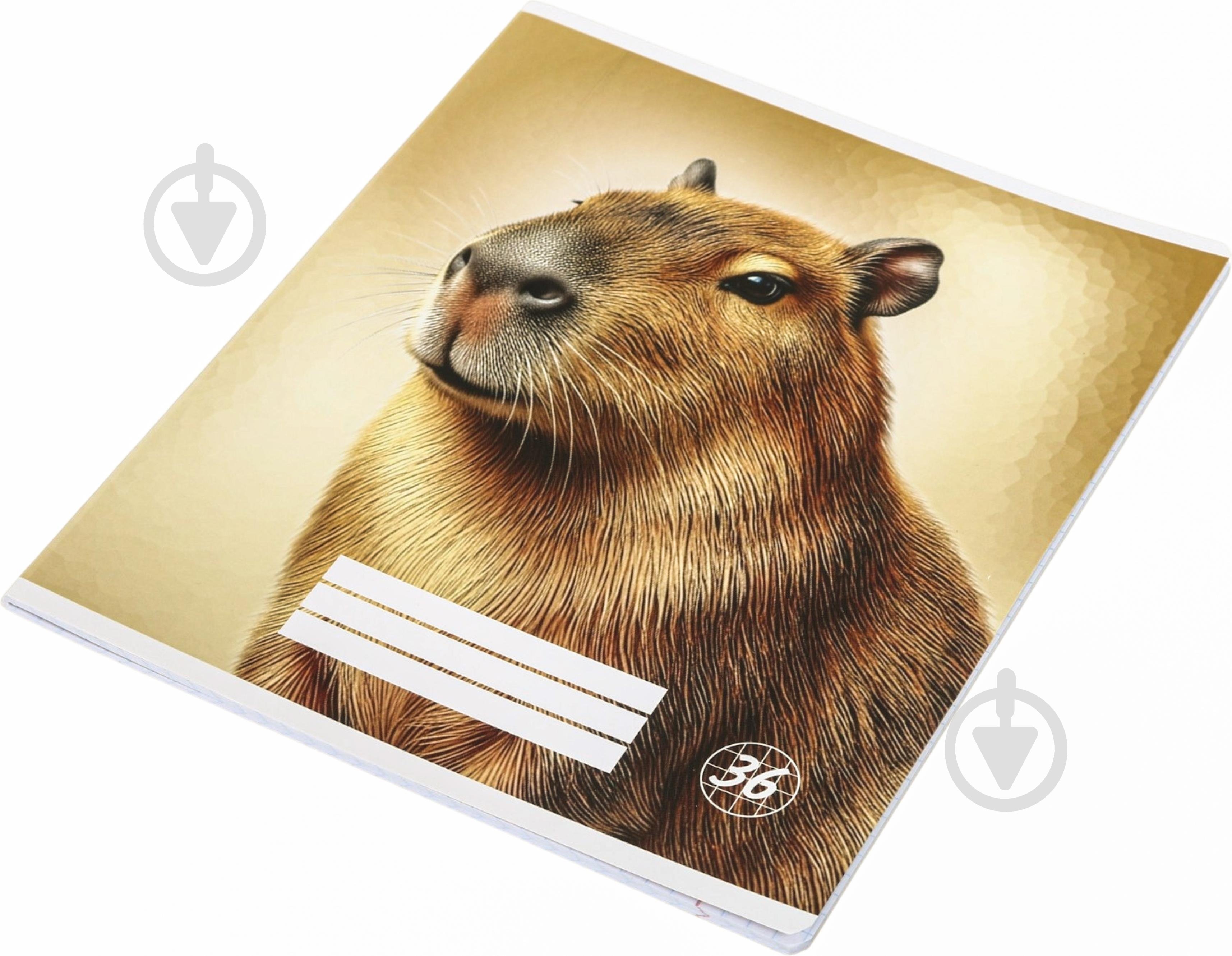 Зошит шкільний Capybara_26 36 аркушів Nota Bene - фото 2