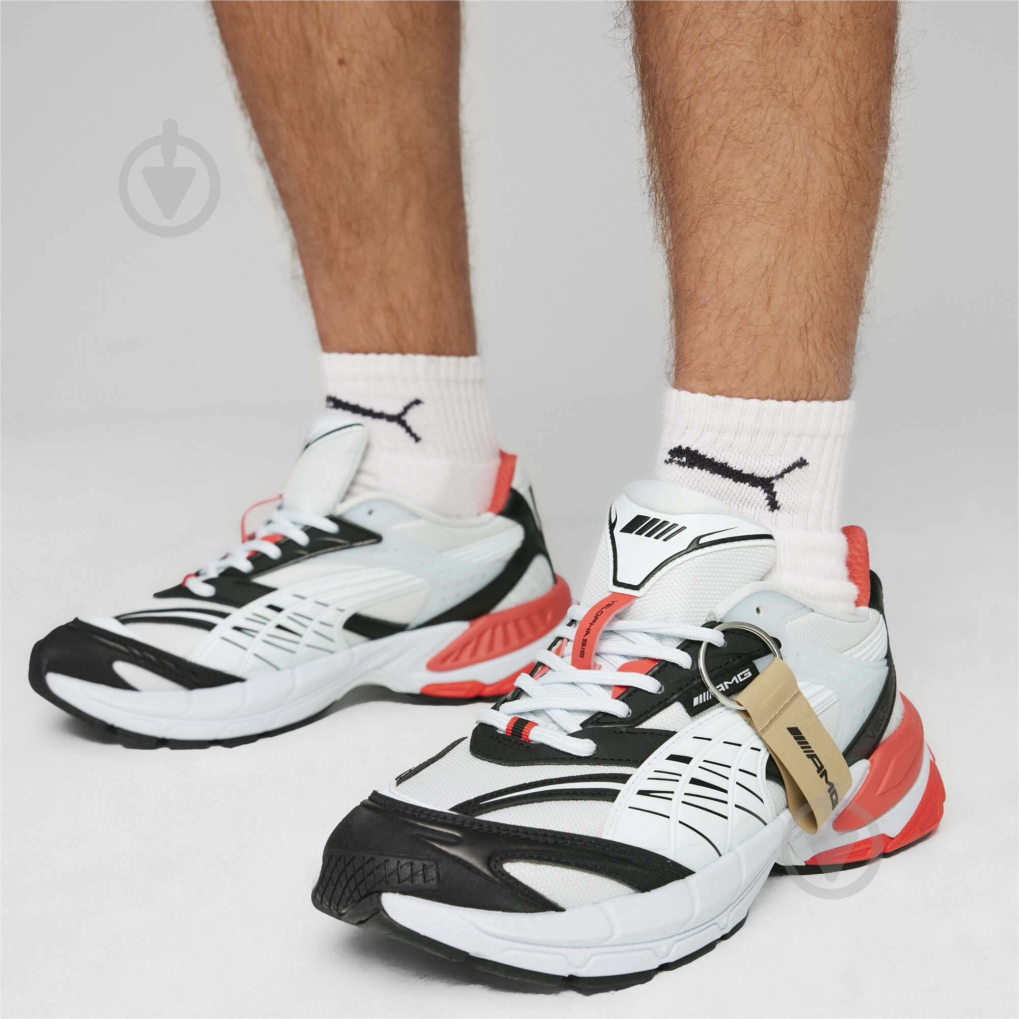 Кроссовки мужские Puma AMG VELOPHASIS 30811401 р.43 разноцветные - фото 3