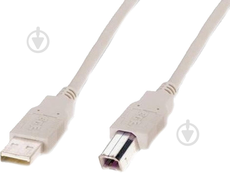 Кабель Digitus USB 2.0 AM/BM 1,8 м белый (AK-300102-018-E) - фото 1 Кабель Digitus USB 2.0 AM/BM 1,8 м белый (AK-300102-018-E) - фото 1