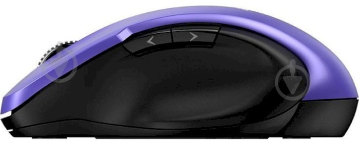 Мышка Genius USB Ergo 8200SUSB purple (31030029402) - фото 2 Мышка Genius USB Ergo 8200SUSB purple (31030029402) - фото 2