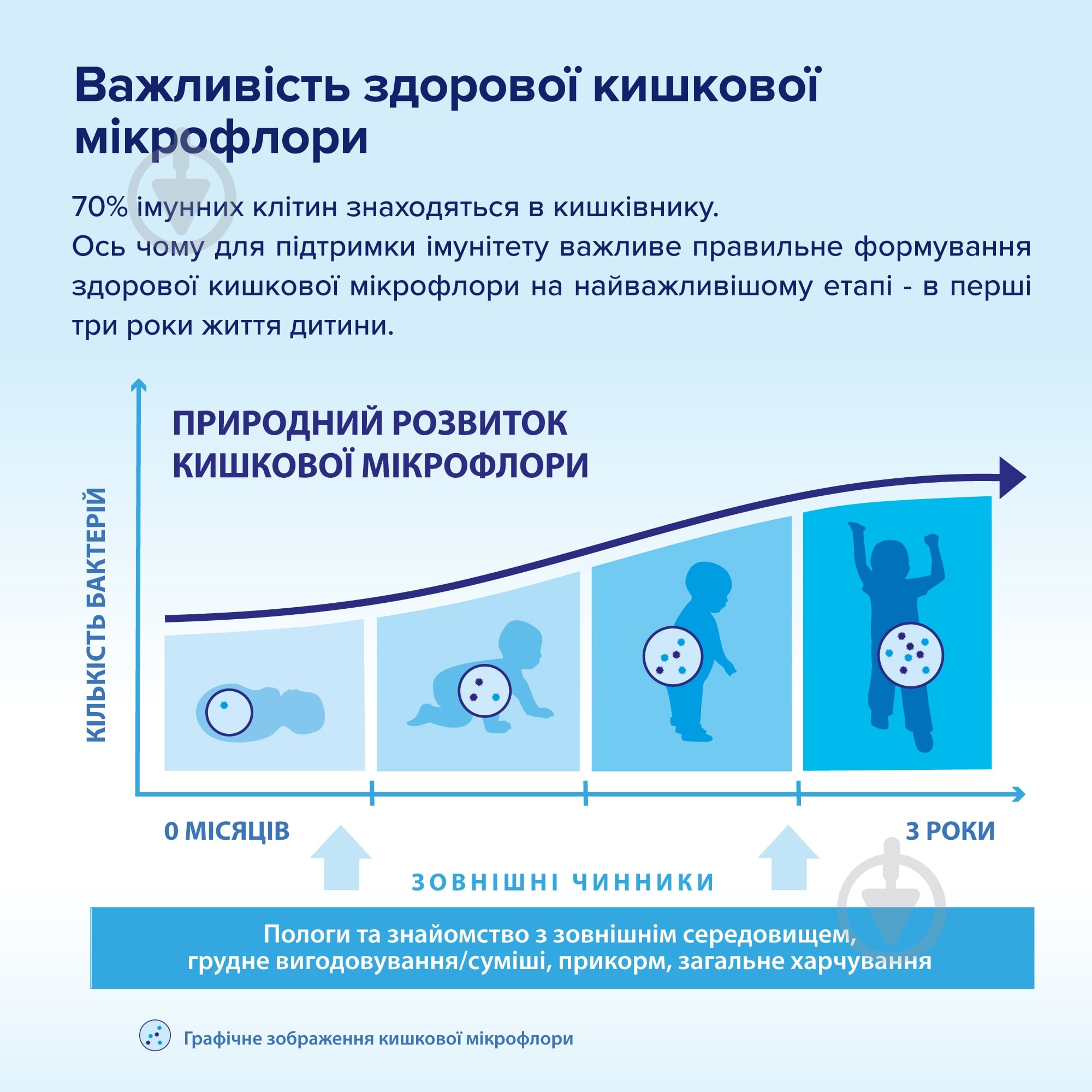 Суха молочна суміш Hipp Junior Combiotic 4 з 18 місяців, 500г - фото 6