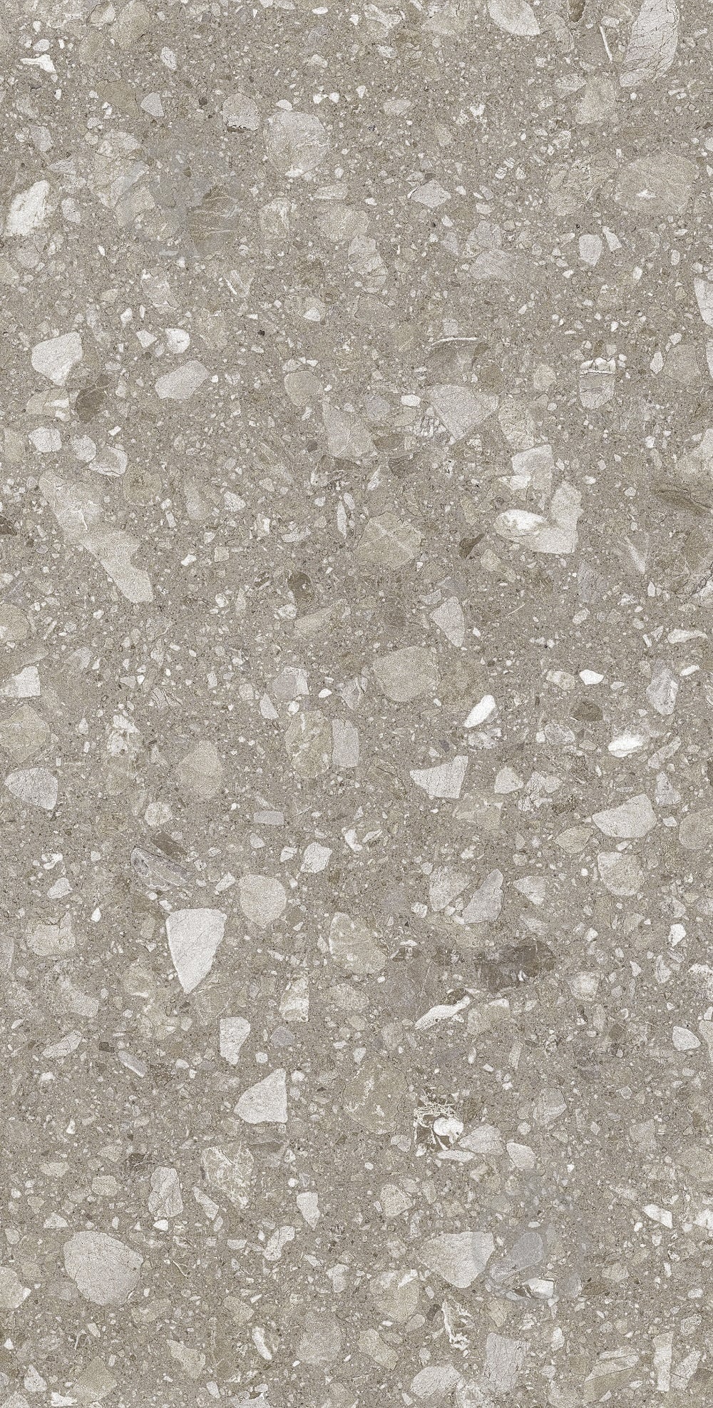 ᐉ Плитка Allore Group Terra Greige F P R Mat 60х120 см • Краща ціна в ...