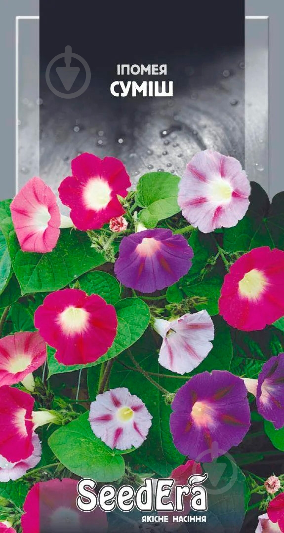 Семена Seedera ипомея смесь 1 г - фото 1 Семена Seedera ипомея смесь 1 г - фото 1