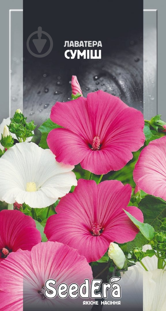 Семена Seedera лаватера смесь 0,2 г - фото 1 Семена Seedera лаватера смесь 0,2 г - фото 1