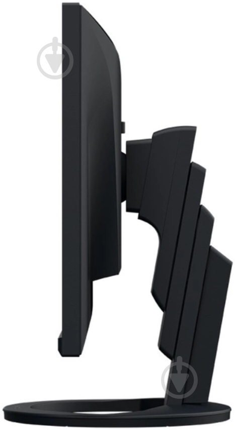 Монитор Eizo EV2490-BK 23,8" (EV2490-BK) - фото 6