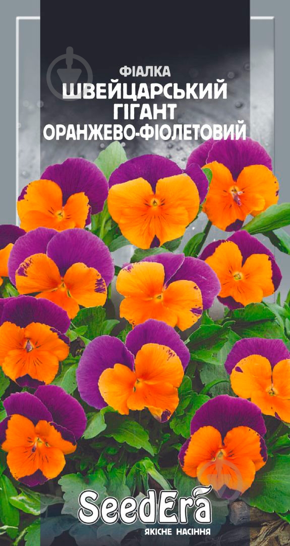 Семена Seedera виола Швейцарский гигант 0,1 г - фото 1 Семена Seedera виола Швейцарский гигант 0,1 г - фото 1