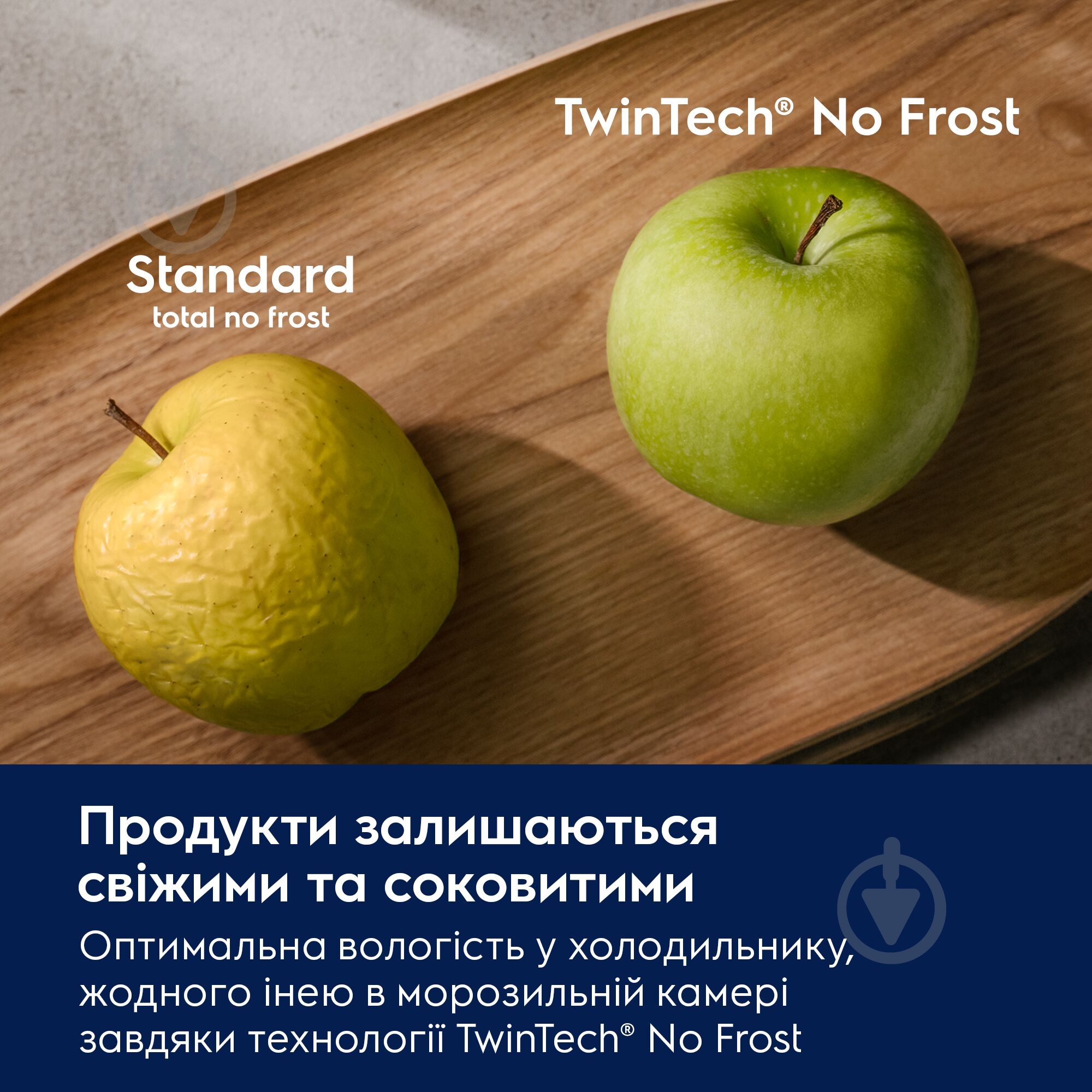 Холодильник Electrolux LNT5ME36U1 - фото 13