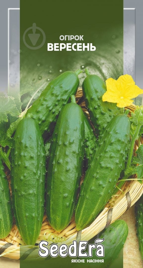 Насіння SeedEra огірок Вересень 1 г (4823073725054) - фото 1