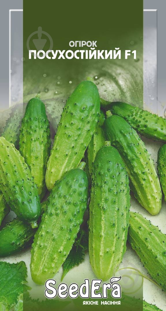 Насіння SeedEra огірок Посухостійкий F1 0,5 г (4823073725061) - фото 1