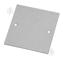 Заглушка E.NEXT VIP Mini LED End cap T 2mm FE015.11.0002 - фото 1 Заглушка E.NEXT VIP Mini LED End cap T 2mm FE015.11.0002 - фото 1