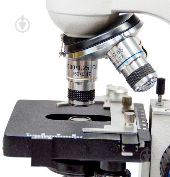 Микроскоп Optima Spectator 40x-1600x - фото 6