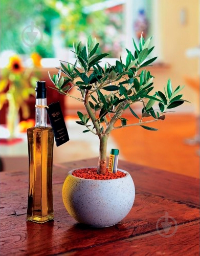 Субстрат SERAMIS универсальный 7,5 л - фото 2