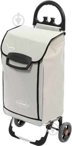 Сумка-тележка Aurora Roma 50 Grey - фото 1