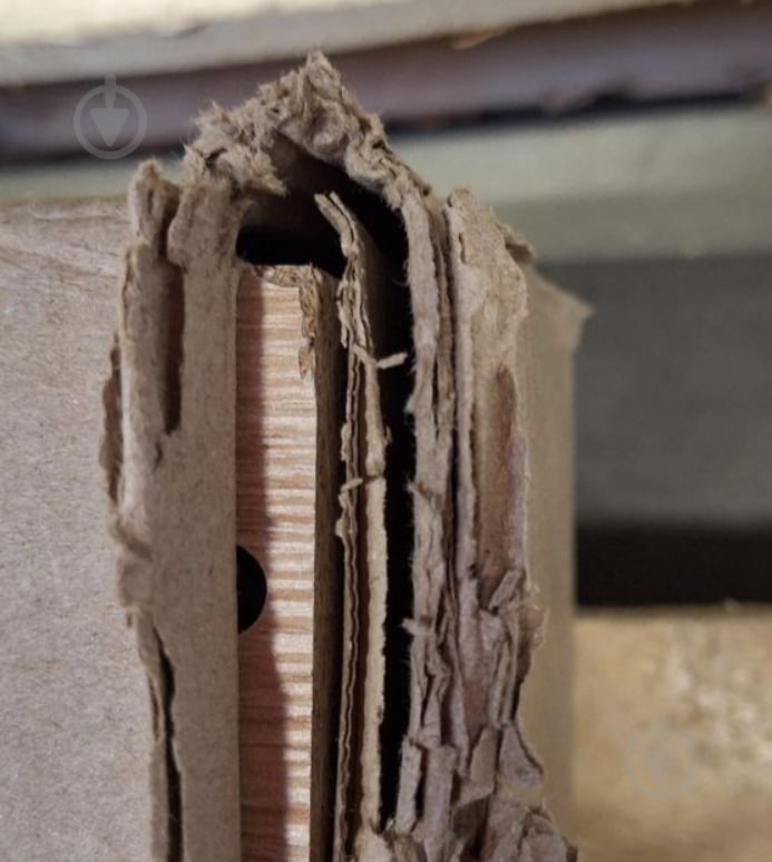 УЦІНКА! Тумба нижня МС Злата 50х82х52 шиншила сіра/дуб артізан Грейд (УЦ №2874) - фото 5