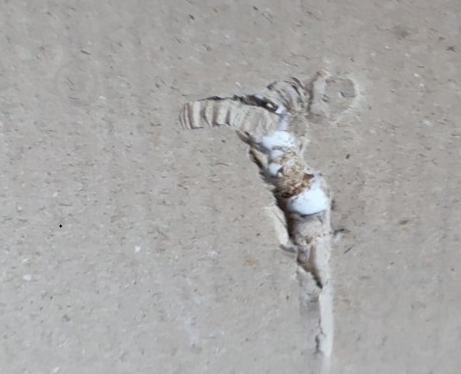 УЦІНКА! Корпус шафи Грейд ш-к ФЛЕКС тип №7 1500х2380х540 мм білий (УЦ №2875) - фото 7 УЦІНКА! Корпус шафи Грейд ш-к ФЛЕКС тип №7 1500х2380х540 мм білий (УЦ №2875) - фото 7