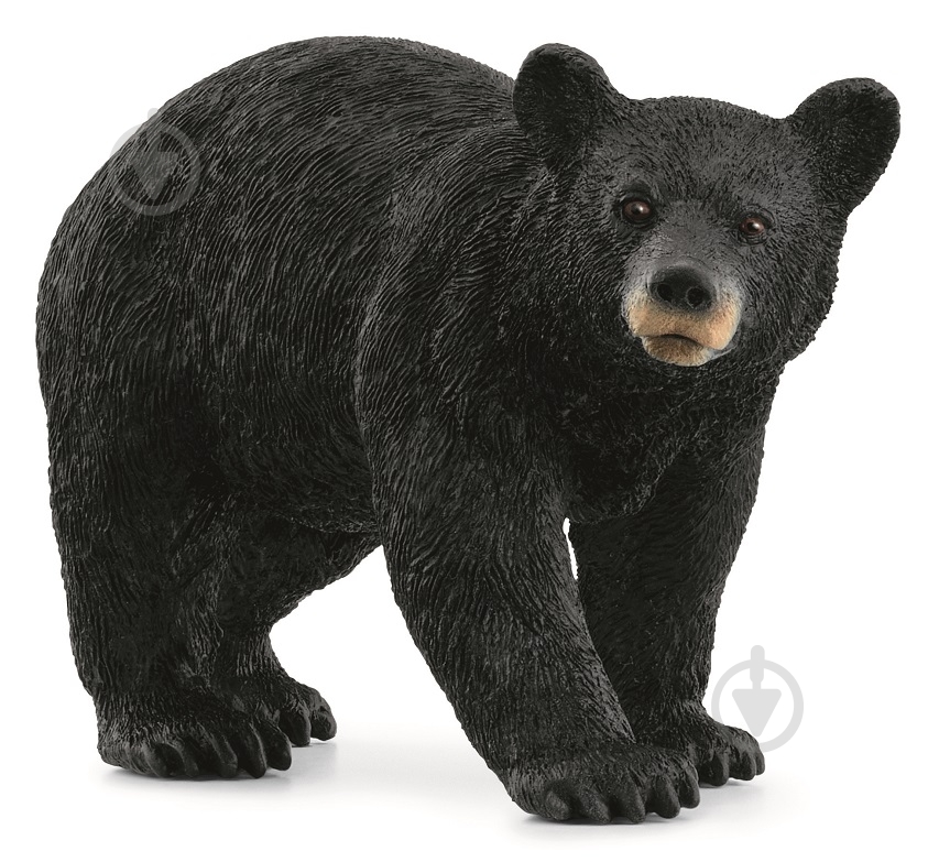 Фигурка Schleich Американский черный медведь 14869 - фото 1