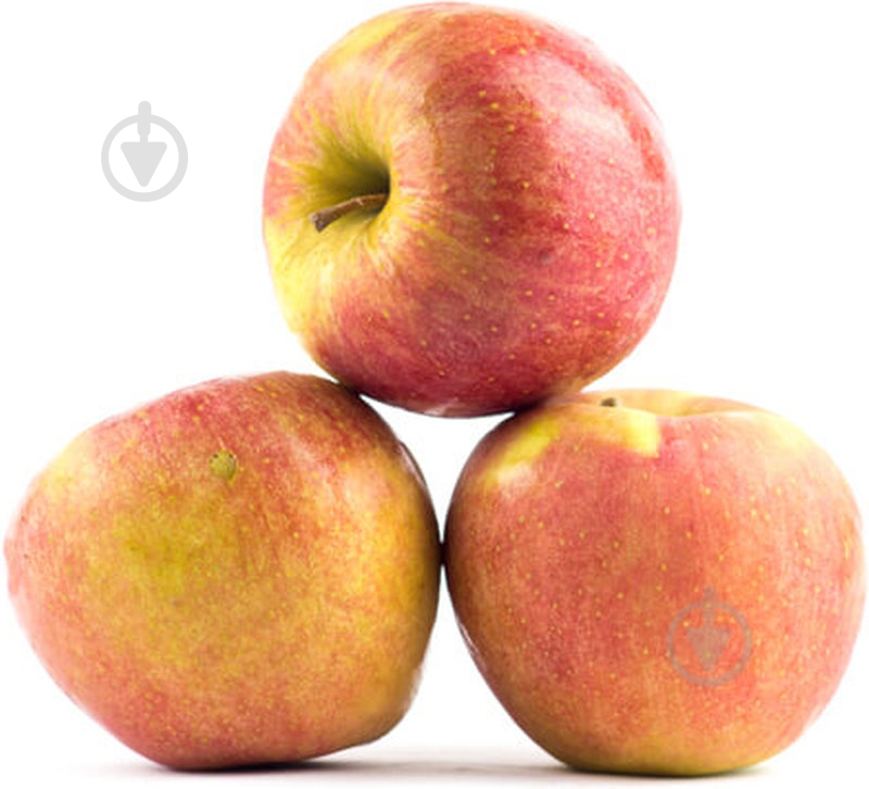 Яблоко Чемпион 4шт. Фрутко - фото 1 Яблоко Чемпион 4шт. Фрутко - фото 1