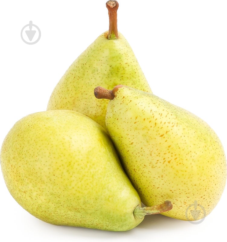 Груша Рикс - фото 1