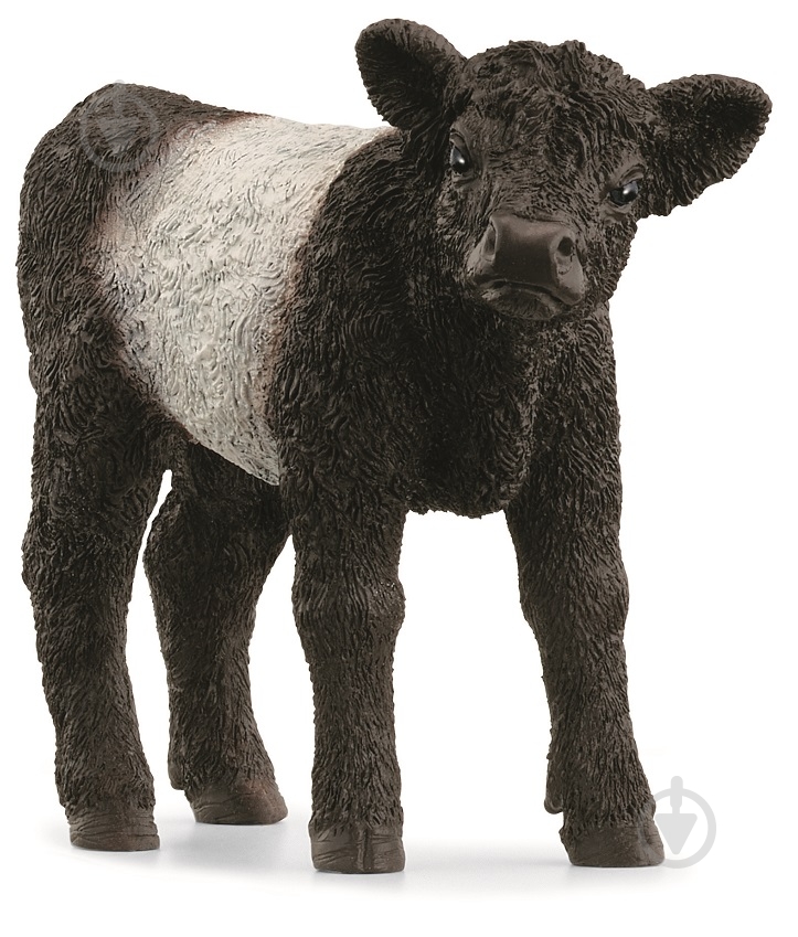 Фігурка Schleich Теля Галлоуей 13969 - фото 1