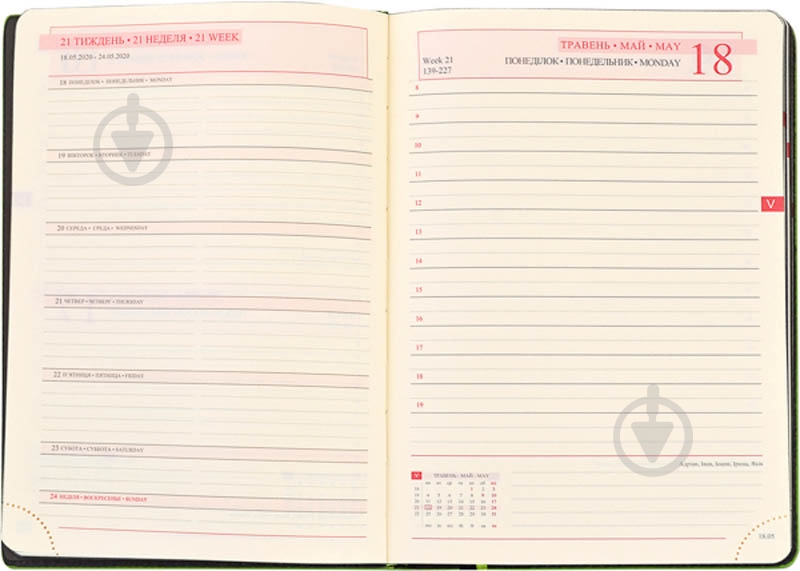Щоденник недатований лінія Leo Planner Destiny A5 251950 - фото 6