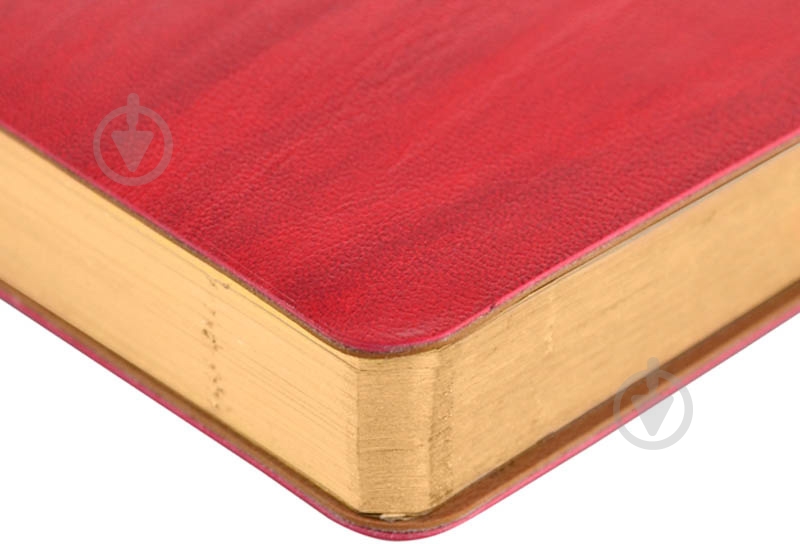 Щоденник недатований лінія Leo Planner Eterno A5 251962 - фото 3