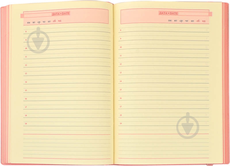 Щоденник недатований лінія Leo Planner Terra A5 251991 - фото 5