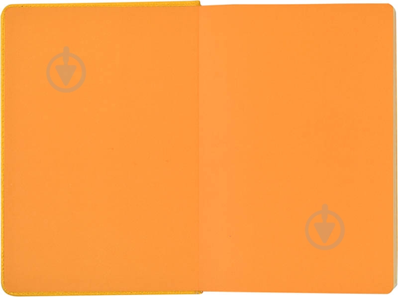 Щоденник недатований лінія Leo Planner Levita A5 251989 - фото 4