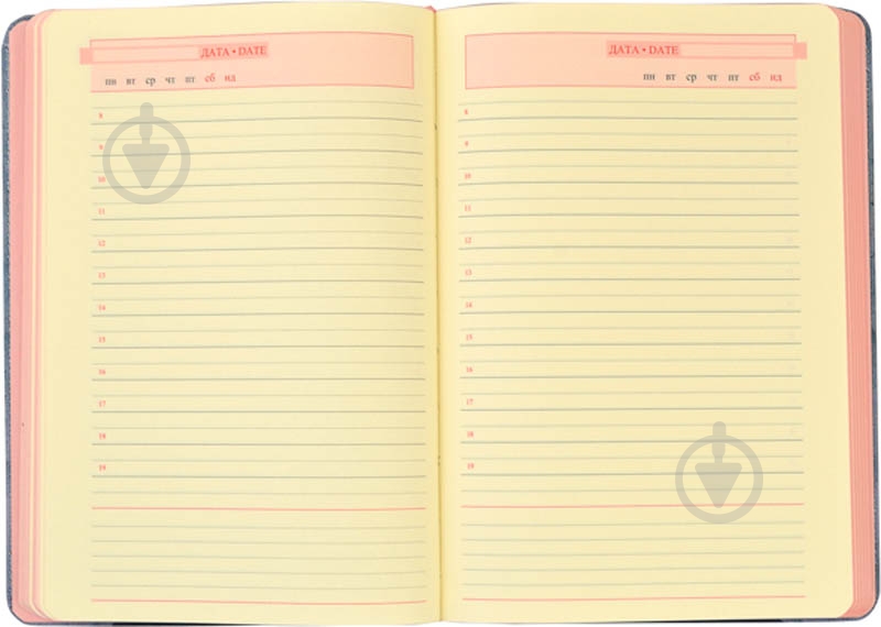 Дневник недатированный линия Leo Planner Mondo A5 251997 - фото 5