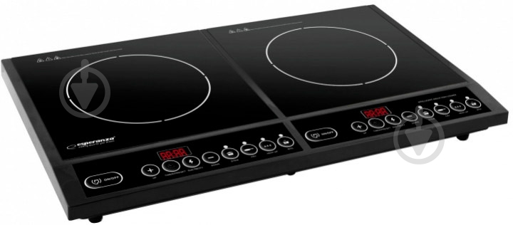 Плита индукционная настольная Esperanza EKH008 - фото 1