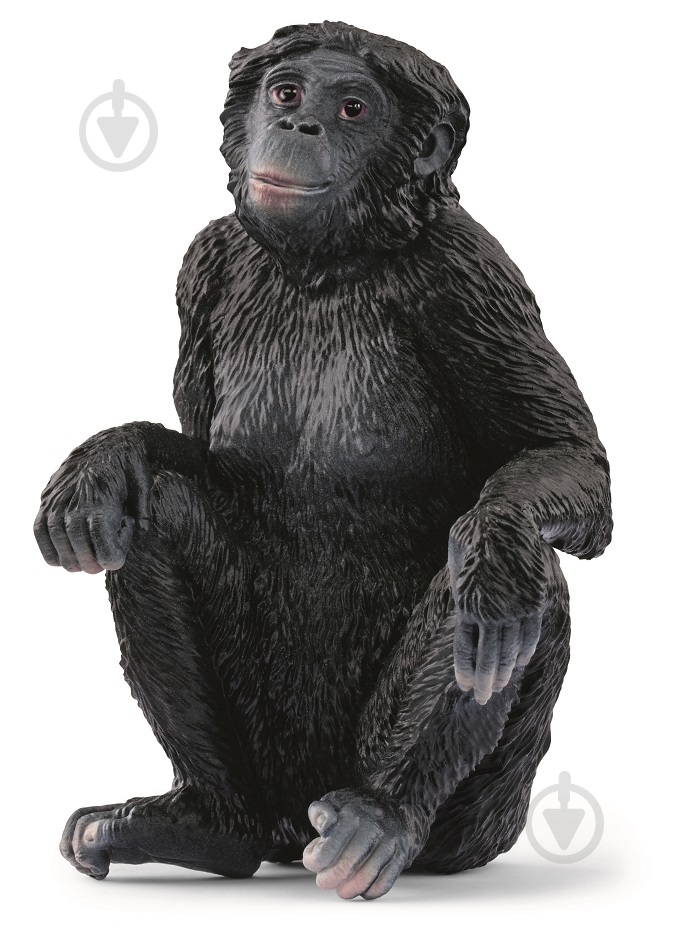 Фигурка Schleich Бонобо самка 14875 - фото 1