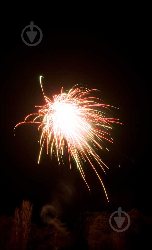 Фейерверк Зажги Небо Да Винчи - фото 3 Фейерверк Зажги Небо Да Винчи - фото 3