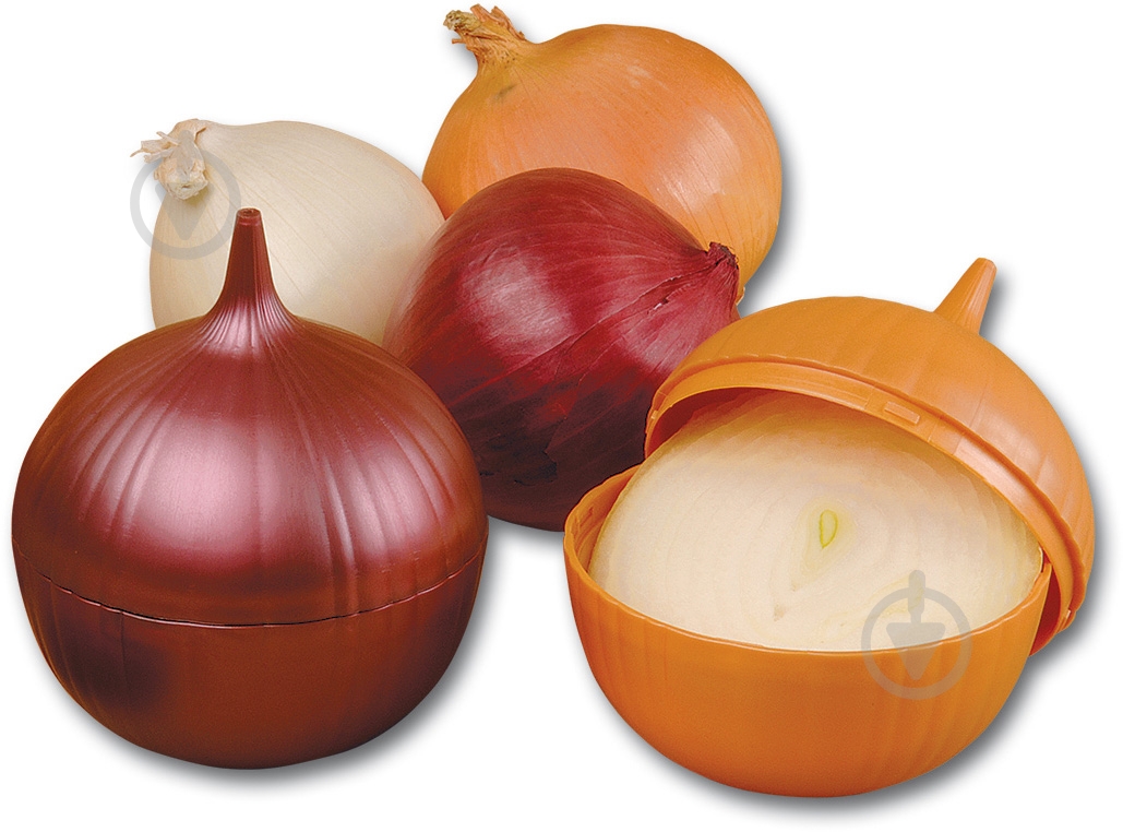 Емкость для луковицы Fackelmann 11 см 47376 - фото 3