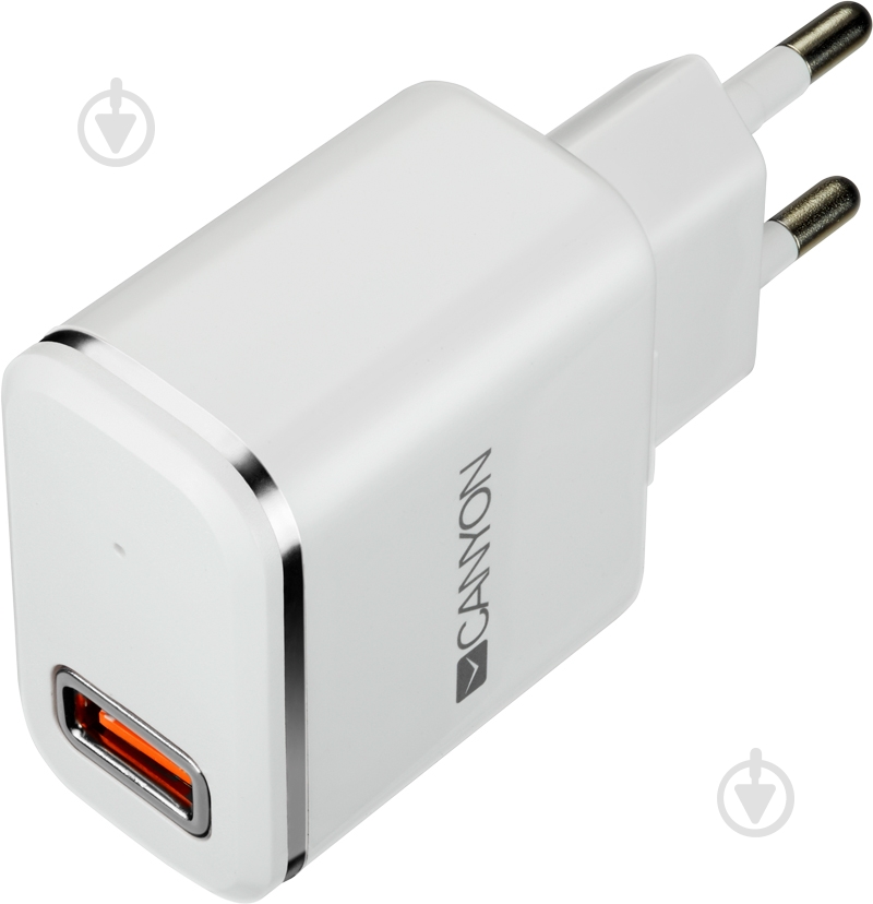 Сетевое зарядное устройство Canyon CNE-CHA043WS - фото 1