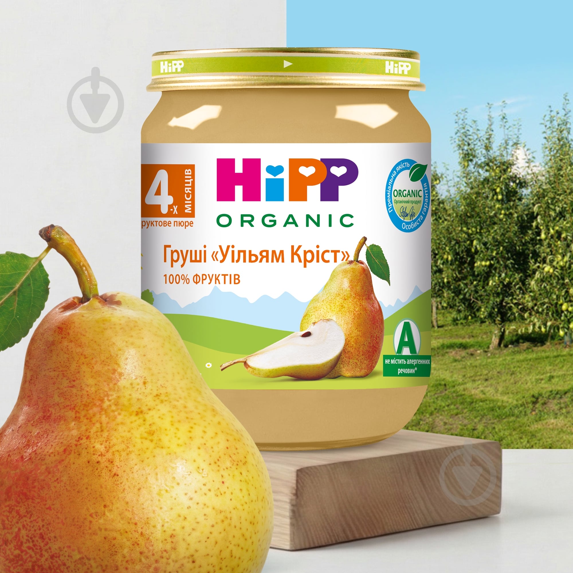 Пюре Hipp Груши Уильям Крист 125 г 9062300102083 - фото 2 Пюре Hipp Груши Уильям Крист 125 г 9062300102083 - фото 2
