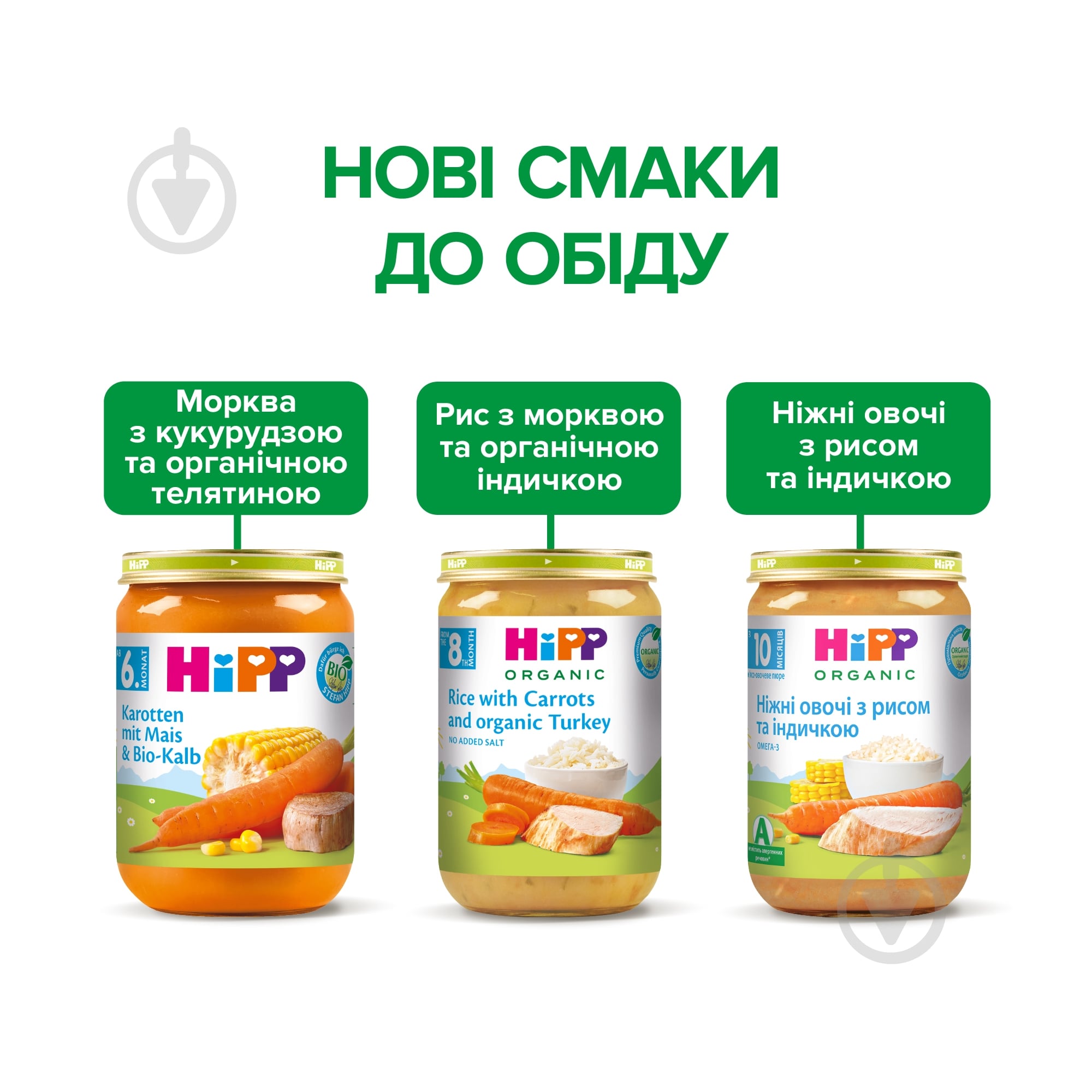 Пюре Hipp Індичка в морквяному пюре із рисом 220 г 9062300108696 - фото 7