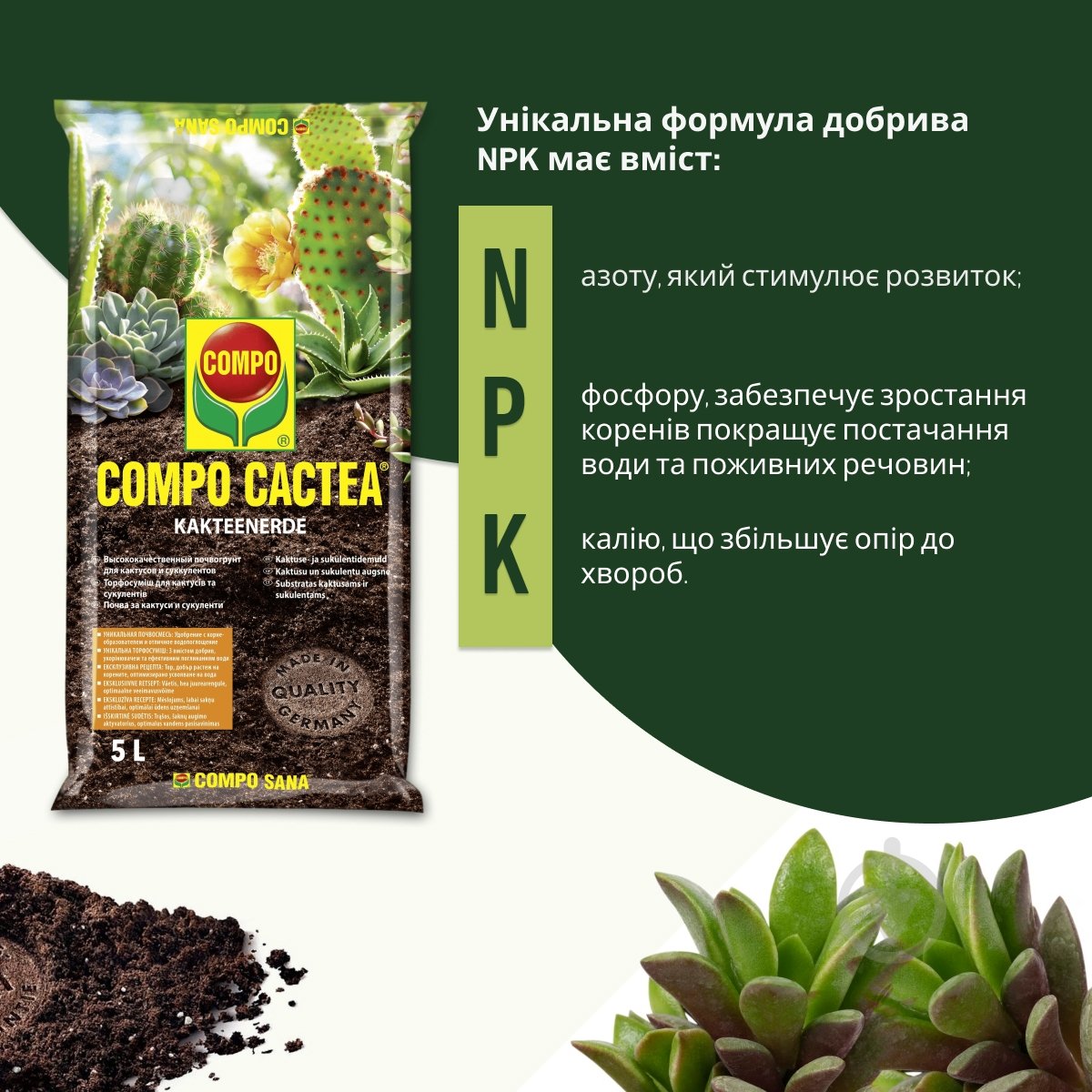Торфосуміш Compo Sana для кактусів 5 л 1221 - фото 3