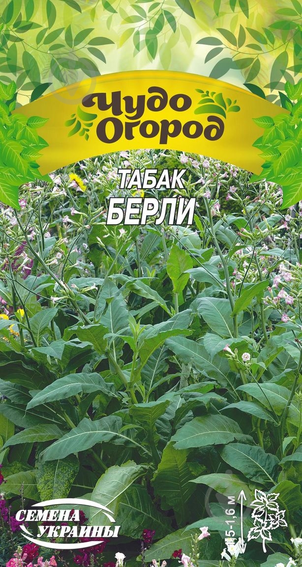 Семена табак Берли 666500 0,1 г Насіння України - фото 1 Семена табак Берли 666500 0,1 г Насіння України - фото 1