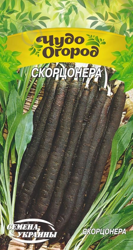 Семена скорцонера 1 г Насіння України - фото 1