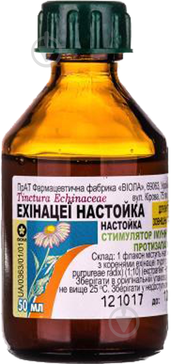 Эхинацеи Виола 1 50 - фото 1