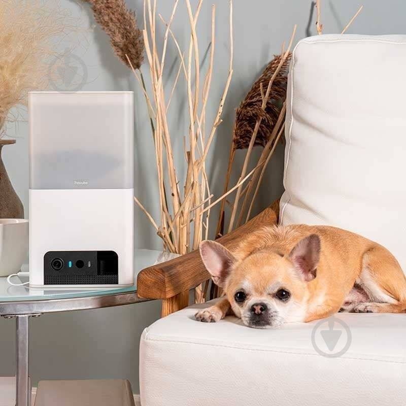 Веб-камера PETCUBE интерактивная Bites 2 Lite (BL10US) - фото 4 Веб-камера PETCUBE интерактивная Bites 2 Lite (BL10US) - фото 4