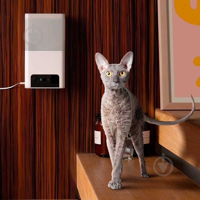 Веб-камера PETCUBE интерактивная Bites 2 Lite (BL10US) - фото 5 Веб-камера PETCUBE интерактивная Bites 2 Lite (BL10US) - фото 5