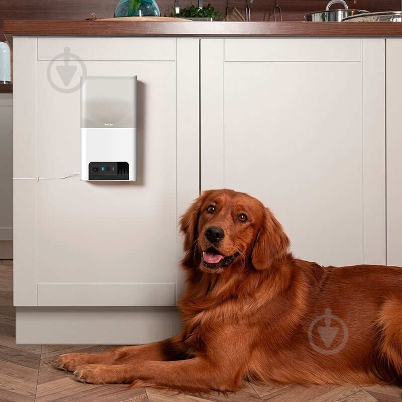 Веб-камера PETCUBE интерактивная Bites 2 Lite (BL10US) - фото 6 Веб-камера PETCUBE интерактивная Bites 2 Lite (BL10US) - фото 6