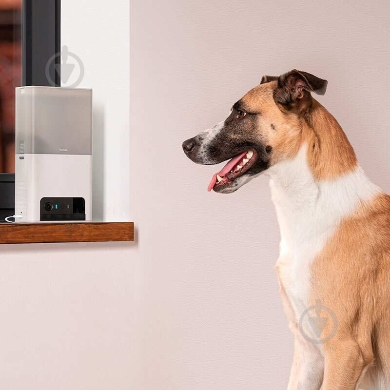 Веб-камера PETCUBE интерактивная Bites 2 Lite (BL10US) - фото 7 Веб-камера PETCUBE интерактивная Bites 2 Lite (BL10US) - фото 7