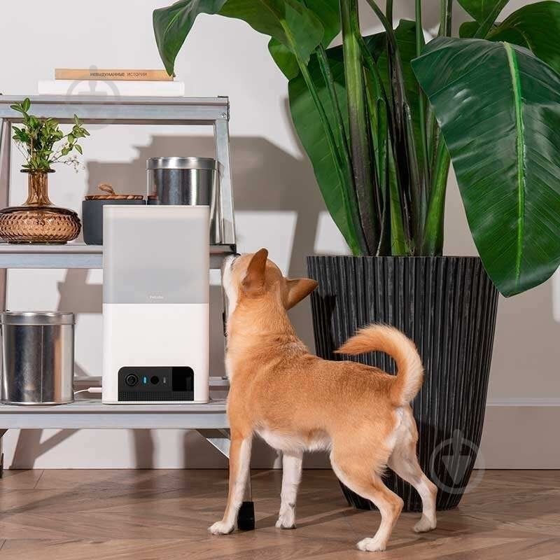 Веб-камера PETCUBE интерактивная Bites 2 Lite (BL10US) - фото 8 Веб-камера PETCUBE интерактивная Bites 2 Lite (BL10US) - фото 8