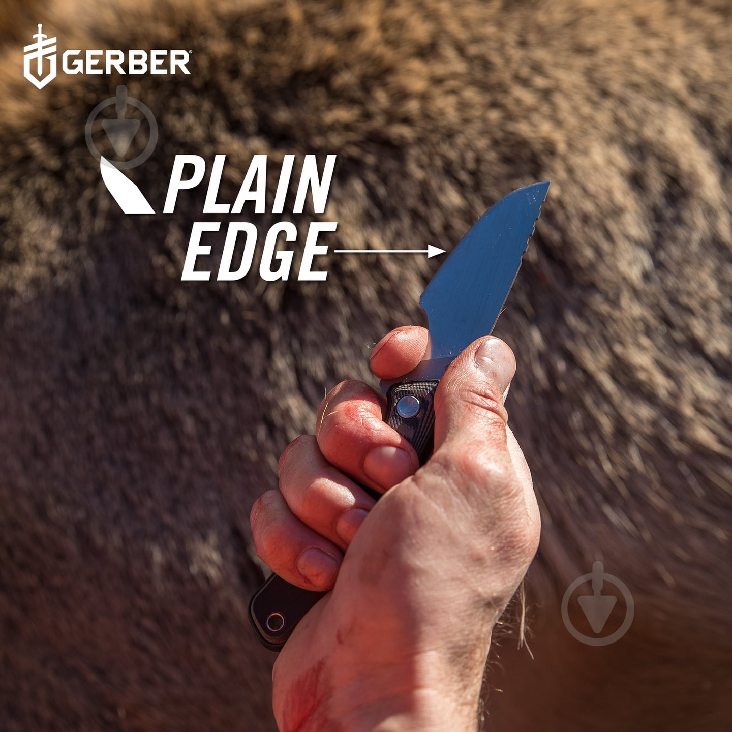 Нож Gerber Knives DOWNWIND CAPER 1059841 - фото 4